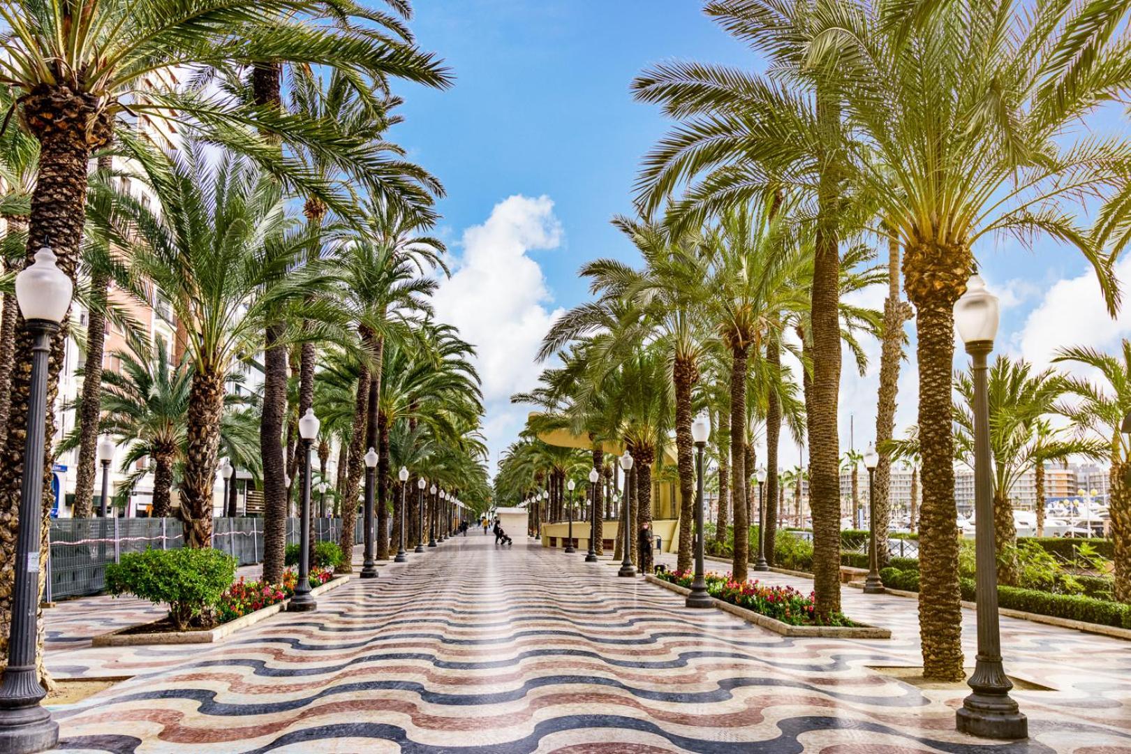 Hb Apartments - Mercado Central - Rambla Alicante - La Suite De La Playa Екстериор снимка