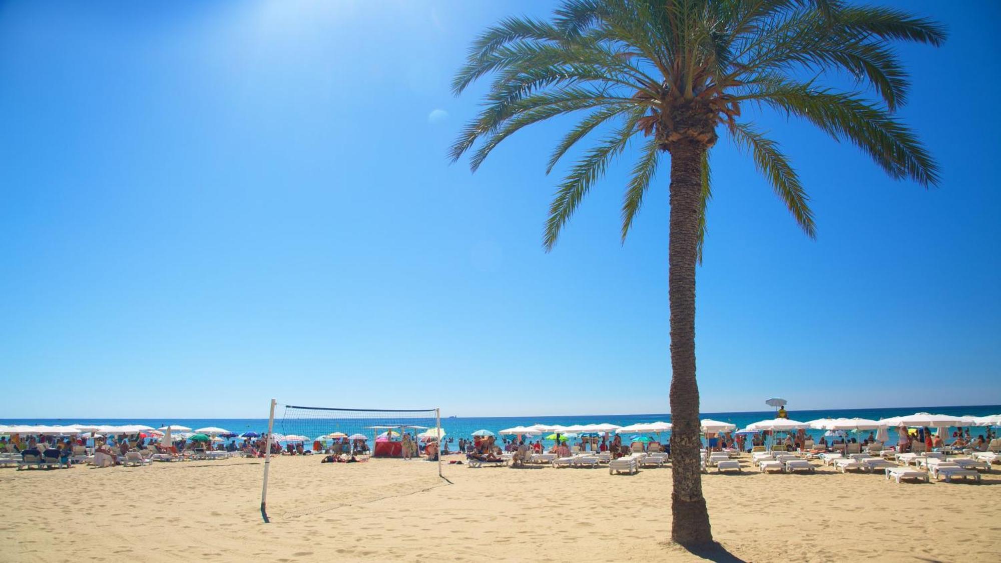 Hb Apartments - Mercado Central - Rambla Alicante - La Suite De La Playa Екстериор снимка